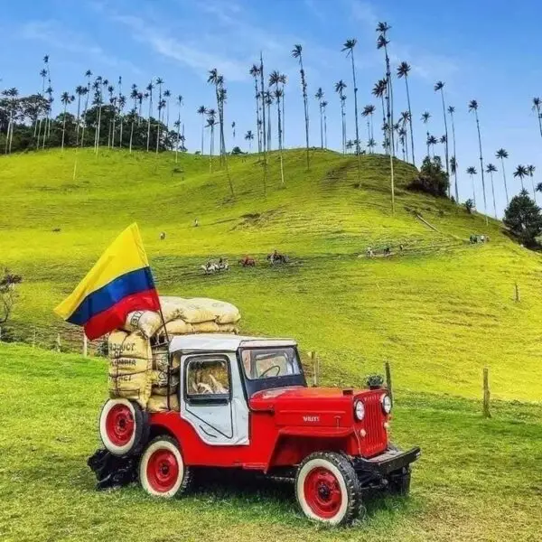 Fotografia del Valle del Cocora en el Eje Cafetero.