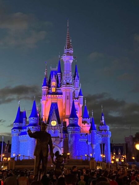 Imagen del castillo disney